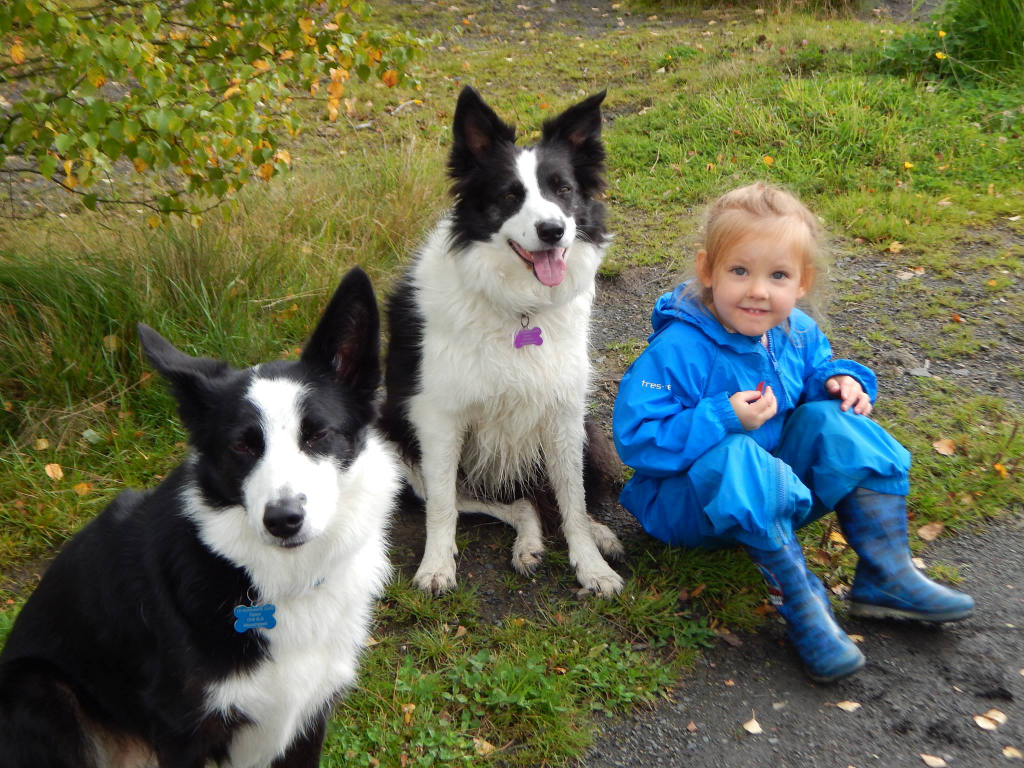 Kids & Canines