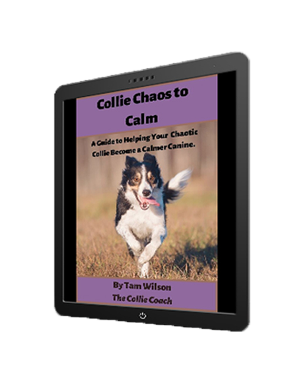 Collie to Calm displayed on Kindle